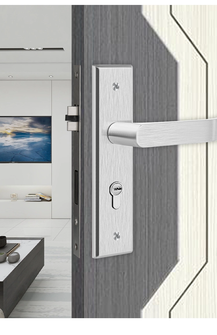 SS304/201 Material Handle Door Handles with Long Plate for Doors (SN-13)
